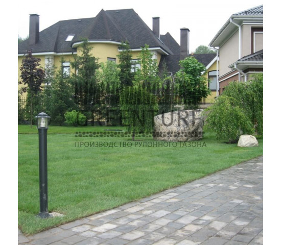 Устройство рулонного газона в частном доме - фото - 12